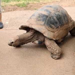 Meet your Posher, Mona